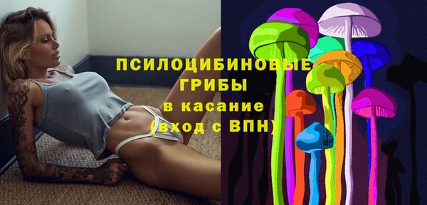 кокс Осташков