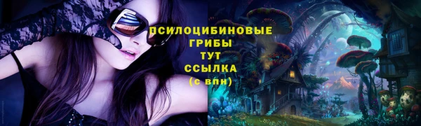 СК Остров