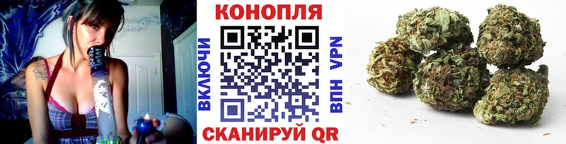 хочу наркоту  Новопавловск  Каннабис планчик 